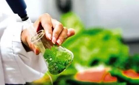 9月8日,大眾網(wǎng)記者從山東省市場監(jiān)督管理局了解到,為進一步保障食品安全,省市場監(jiān)管局對餐飲食品、淀粉及淀粉制品、豆制品、糕點、酒類、糧食加工品、肉制品、乳制品、食用農(nóng)產(chǎn)品、蔬菜制品、水果制品、速凍食品、特殊醫(yī)學用途配方食品、調(diào)味品和飲料共15大類食品53?