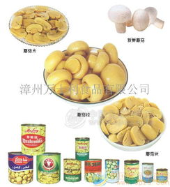 蘑菇罐頭 批發(fā)價(jià)格 廠家 圖片 食品招商網(wǎng)