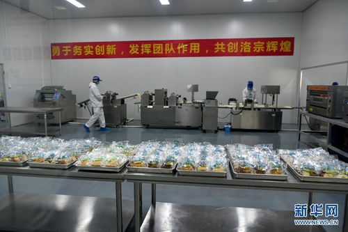 西藏洛隆 以青稞深加工技術(shù)開(kāi)發(fā)，鋪就高原特色產(chǎn)業(yè)增收路